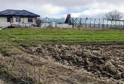 Varasti-Dumbrava Noua - 3