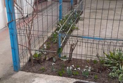 URGENT: ULTRA CENTRAL - Apartament 2 camere situat in casa cu curte comuna - 6