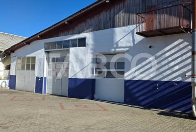 Spatiu industrial de 300 mp de inchiriat in Sebes Alba - 8