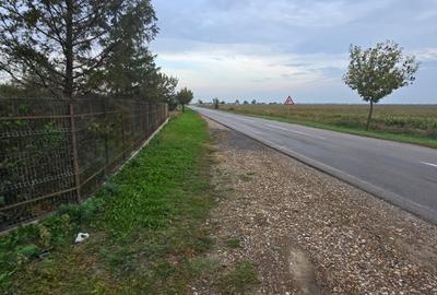LIVADA  DE VANZARE FOCSANI-DUMBRAVITA  1,8  HA - 15
