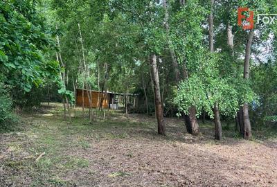 Comision 0% Teren de vanzare 6000 mp cu iesire la Lac Surduc - 7