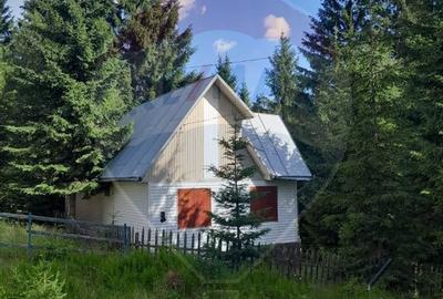 Cabană de vânzare în Muntele Băișorii – Zona Jera - 1