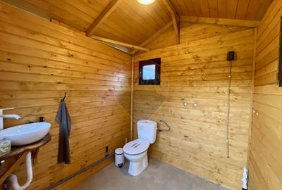 Proprietate de vis la munte  | Foisor + Cabanuta | Utilitati complete - 8