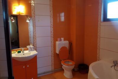 CASA DE VANZARE ZONA BRADU PITESTI - 6