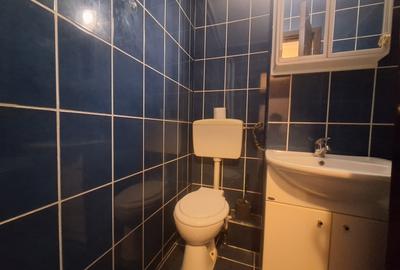 Investitie ideala! Apartament cu 2 camere-mobilat si utilat-zona Dacia! - 19