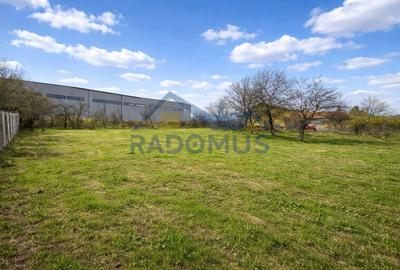 Oportunitate de investiție în Vălenii de Munte - 3