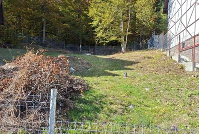 Teren Sinaia in suprafata de 532 m2 - 3