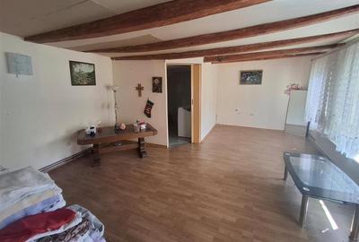 2 Apartamente la casa pivnita garaj in Cisnadie - 7
