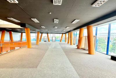 Spatiu pretabil Showroom | Stradal | Centura Otopeni - 8