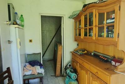 Teren intravilan 10.000mp cu utilitati, imprejmuit, Loc. Sanleani langa Amatex - 15