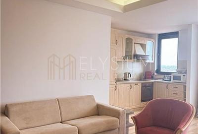 Apartament 2 camere de inchiriat North Area Lake View - 9