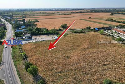 AZURA Imobiliare - Teren la DN7 langa Gaesti, Crangurile - Badulesti - 5