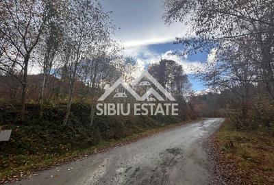 Oportunitate de investiție – Teren pentru hotel / pensiune pe Valea Avrigului - 5