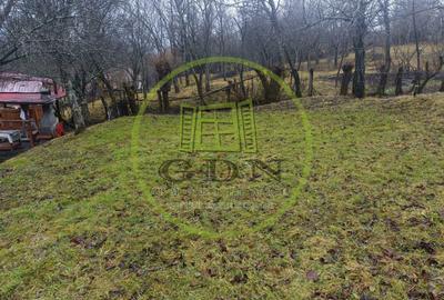 Cabană de vânzare com Deda, sat Bistra-Mureșului sau schimb - 19
