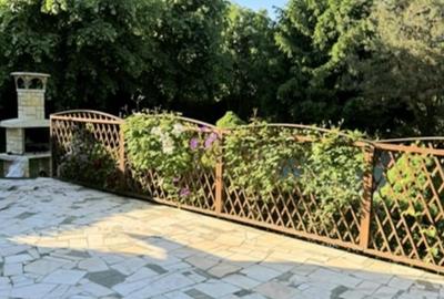 Zona Ghencea Sos Alexandriei Domeniu privat 2090mp cu piscina - 3
