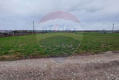 Teren pentru investitii in Lilieci de vanzare - 1