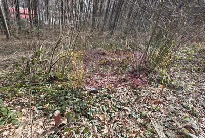 Tere intravilan de vanzare in Sinaia - 2