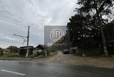 Teren Moara Vlasiei / Strada Cantonului - Padure - 3