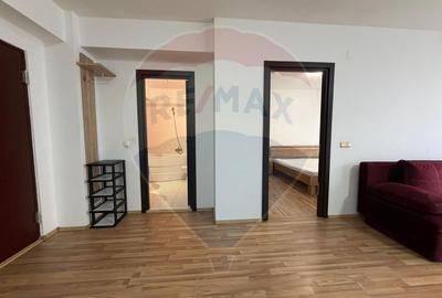 Apartament cu 2 camere de închiriat în zona Nufarul - 8