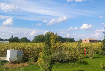 TEREN || 12.500 mp || Tunari - 1