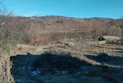 Teren de vânzare intravilan-extravilan  comuna Tigveni jud.Arges - 5
