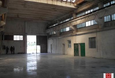 Platforma industriala de vanzare - 8