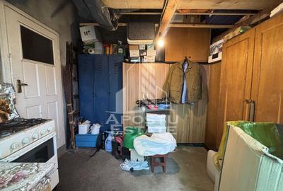 Casa 2 camere de vanzare Calea Sagului, Timisoara, curte comuna - 13