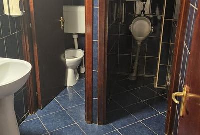 Spatiu comercial 120mp   Stradal la subsol  - Stefan cel Mare - 11