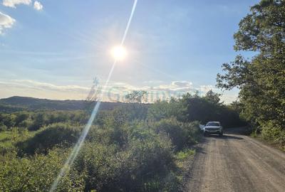 Teren panoramic pe dealul Doja, Oradea, Bihor - 3