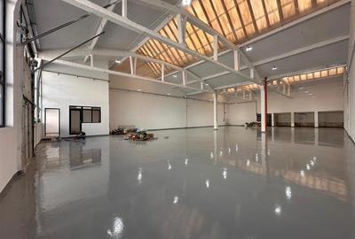 Hala, spatiu comercial, zona Carrefour, rampa, de la 1000mp la 3000mp - 14