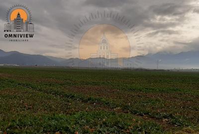 Oportunitate unică în Rasnov: Teren extravilan de 10,000 mp la 50,000 euro - 9