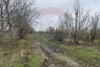 De vanzare teren intravilan 1862 mp in Bolintin-Vale - 3