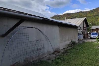Proprietate cu potențial generos în Lunca Mare - Prahova - 8