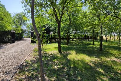 Loturi constructie intre 80-95 Euro/mp - Afumati, Strada Padurii - 5
