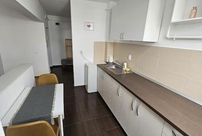 Apartament 2 camere, de inchiriat, parcare inclusa, Str Sesul de  Sus - 6