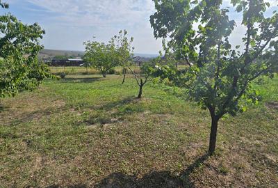 Teren cu cabanuta de lemn in Zaicesti - 11