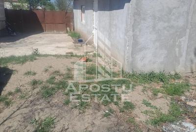 Casa individuala in Cruceni ,la granita cu Serbia - 13
