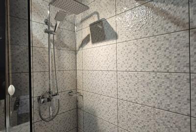 3 Camere 50m metrou Brancusi/ Drumul Taberei - 14