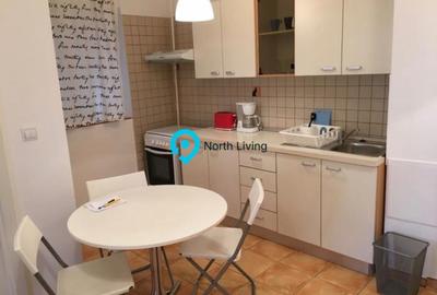 Apartament cu 3 camere decomandat, mobilat în Tineretului