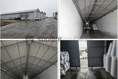 Proprietate industrială  Platformă logistică de vânzare în Tinca - 7