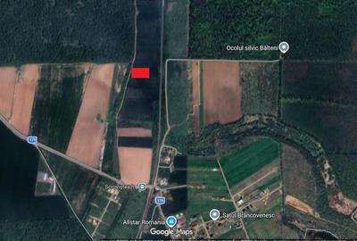 Teren agricol intravilan de 5000 mp, în Bălteni