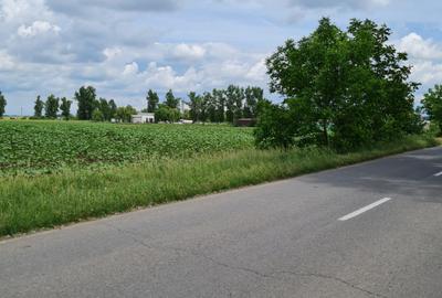 Teren intravilan la asfalt cu utilități și dublă deschidere 25x70.Drum principal - 1
