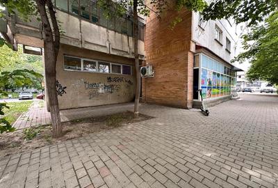 Spatiu comercial Nicolina Clopotari, zona Profi, 160mp - 9