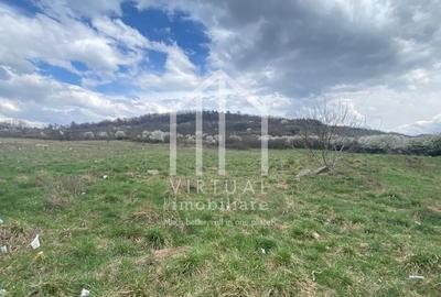 Teren intravilan de vanzare in Sibiu, suprafata 580 mp, Gusterita - 2
