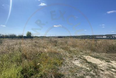 Teren Construcții intravilan de 1040 mp, în Moșoaia