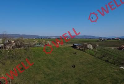 Teren cu casă de vânzare în Sfântu Gheorghe, pe Aleea Căminului! - 7