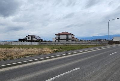 Stupini str. Barsei, asfalt, utilitati, 14 loturi 500-700 mp, suprafata 7692 mp. - 1