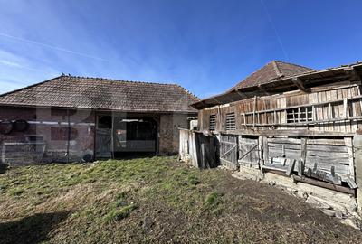 Casa la tara, 4000 mp teren, utilitati, acces A10, sat Dumbrava - 4