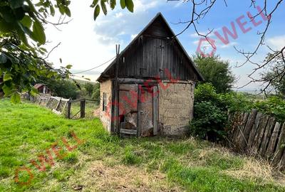 De vânzare casă în Dobolii de sus! - 12