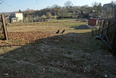 De vanzare teren pentru constructie in Sanvasii - 4
